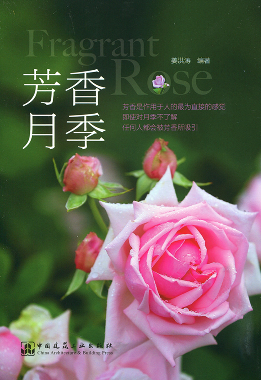 芳香月季 芳香月季的历史 月季不同的香型香味的介绍书籍 姜洪涛 编著 中国建筑工业出版社