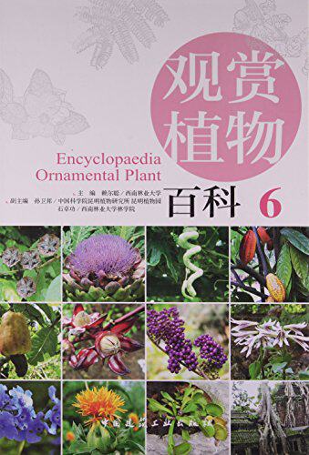 观赏植物百科6可供广大风景