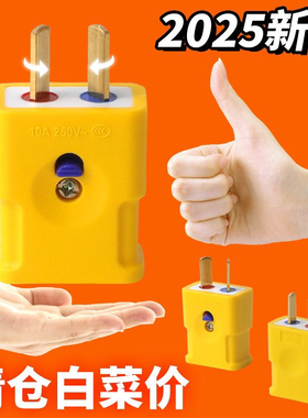 插头二脚通用家用插销不带线大功率一体纯铜防摔阻燃二角二极插头