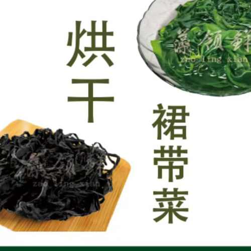 藻领鲜烘干裙带菜火锅煲汤超百搭
