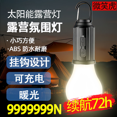 2025新款太阳能露营灯充电复古野营灯LED钨丝帐篷灯应急球泡灯