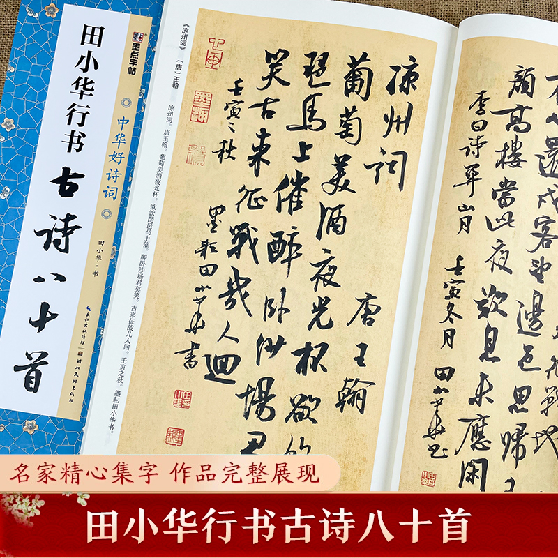中华好诗词 田小华行书古诗八十首 行书集字古诗毛笔字帖简体注释临摹范本行书集字古诗临摹教材墨点字帖