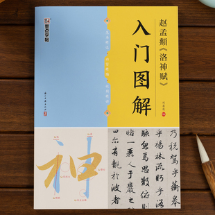 赵孟頫行书洛神赋入门图解放大版临帖赵孟俯行书毛笔书法临帖米字格精修放大含视频教学赵孟俯行书毛笔入门字帖