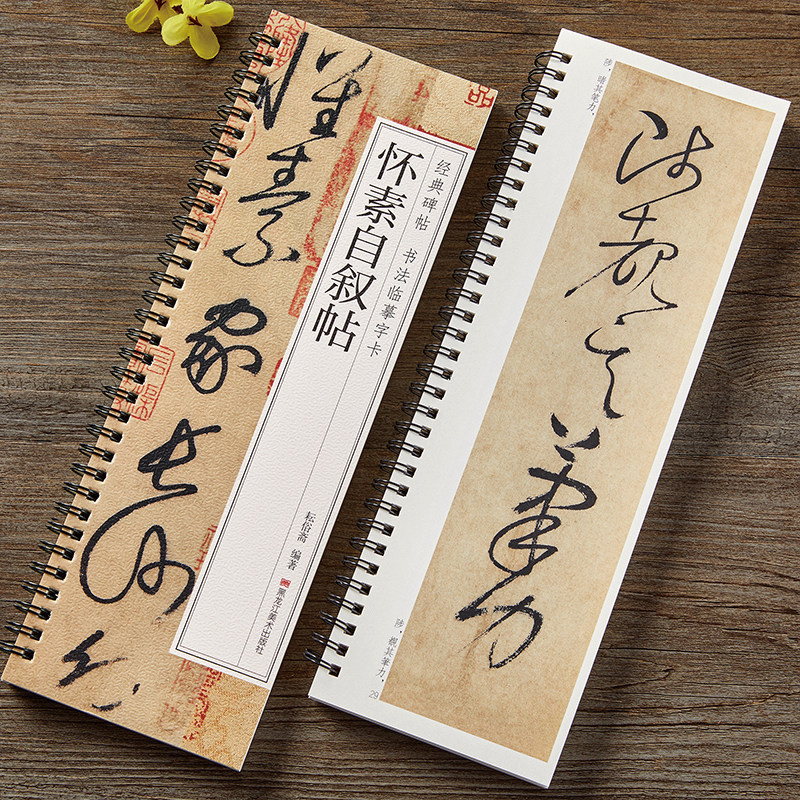 怀素自叙帖经典碑帖书法临摹字卡线圈装近距离临摹字帖 草书毛笔书法练字帖 成人学生草书练习专用古帖墨迹本