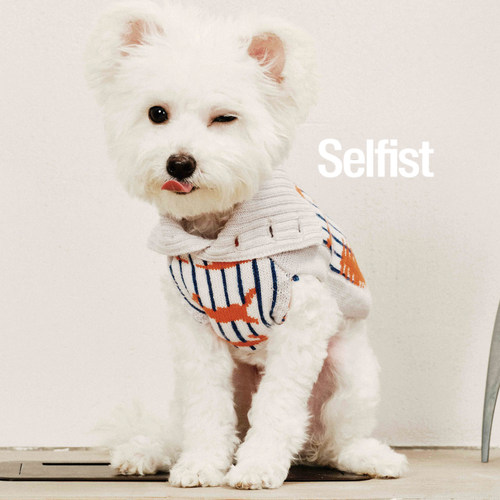 Selfist猫狗羊毛兔子图案毛衣