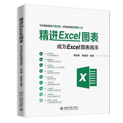 【正版书籍】 精进Excel图表：成为Excel图表高手 周庆麟,周奎奎 著 北京大学出版社