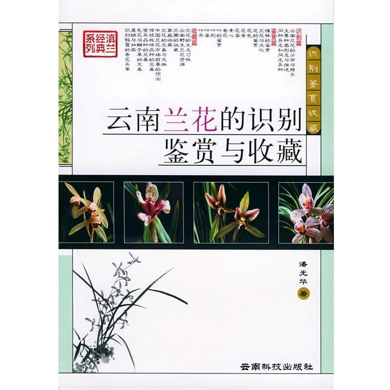 【正版书籍】 云南兰花的识别、鉴赏与收藏 潘光华 云南科学技术出版社
