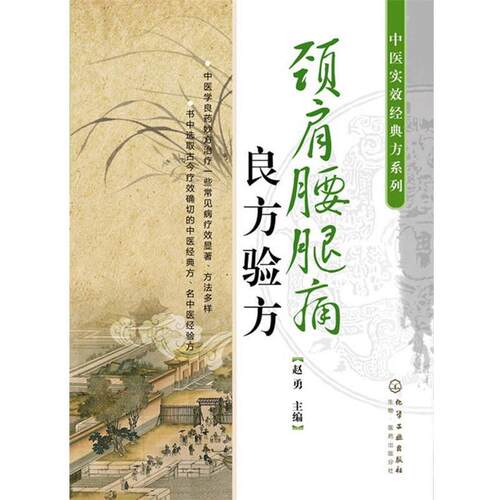 【正版书籍】 颈肩腰腿痛良方验方 赵勇 主编 化学工业出版社