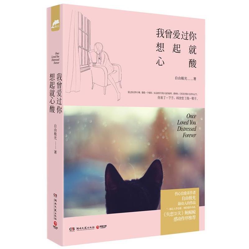 【正版书籍】 我曾爱过你，想起就心酸 自由极光 湖南文艺出版社