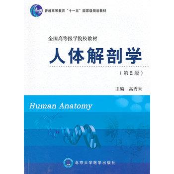【正版书籍】 人体解剖学 高秀来 北京大学医学出版社