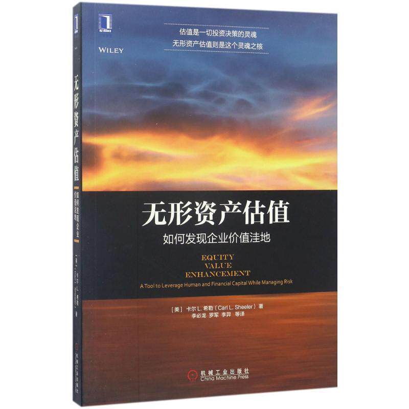 【正版书籍】 无形资产估值:如何发现企业价值洼地 [美]卡尔 L. 希勒(Carl L. Sheeler),李必龙 罗军 李羿 等译 机械工业出版社