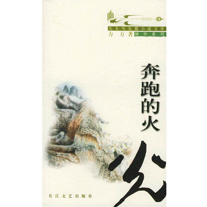 【正版书籍】 奔跑的火光 方方 著 长江文艺出版社