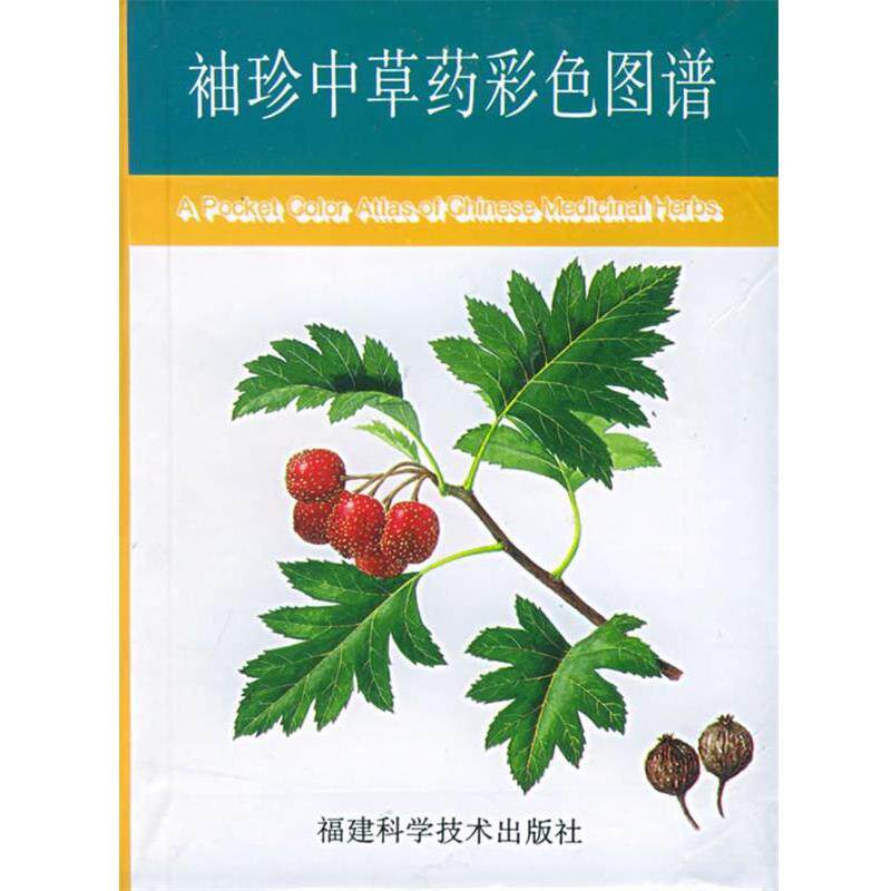 【正版书籍】 袖珍中草药彩色图谱 华碧春,陈小峰 编著 福建科技出版社