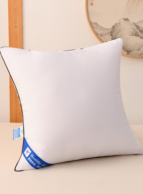 抱枕芯儿内胆内芯靠垫芯40 45 50正方形抱枕心沙发靠背靠枕心1172