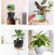 Planters Watering Wear Resist Plastic 5Pcs Creative Self