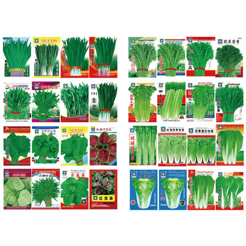 Tomato Seed garden plants Bonsai organic fruit and vegetabl