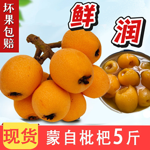 【现摘】新鲜枇杷3斤5斤云南蒙自枇杷当应季秋季五斤孕妇枇杷鲜果