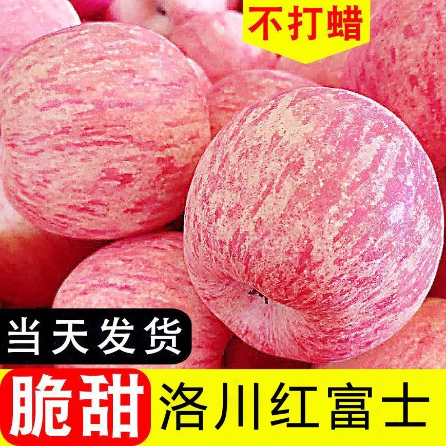陕西洛川正宗⃝͌红富士苹果新鲜水果冰糖心脆甜当季一级精品大果
