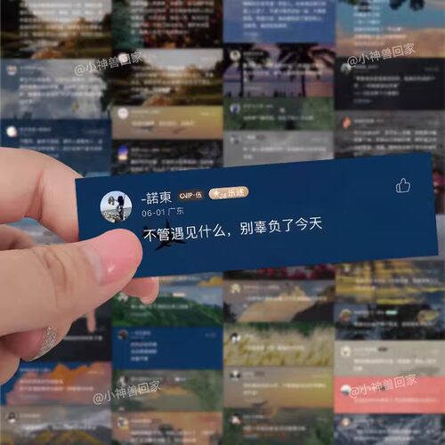 63张网易云热评人间清醒贴纸
