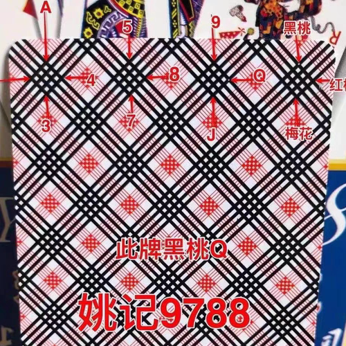 原厂正品姚记9788魔术扑克牌背面看牌手工小白点牌变魔术道具纸牌