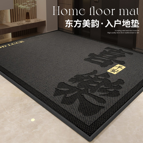 门垫脚踏垫入户门地垫门口进门专用室外地垫地毯家用高端2025新款