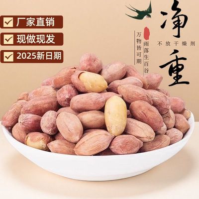 五香烤花生正宗2025新山东脱油