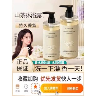 美丝叶山茶花氨基酸柔顺蓬松洗发水去屑女男士香氛润发男女士滋润