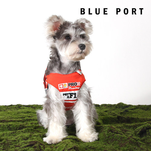 blueport动漫胸背牵引绳