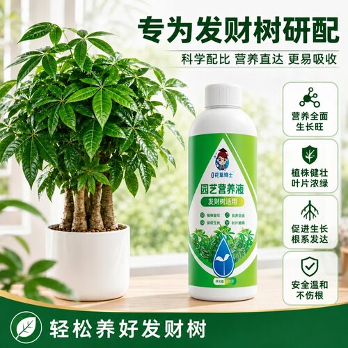 星宸花草博士发财树专用营养液