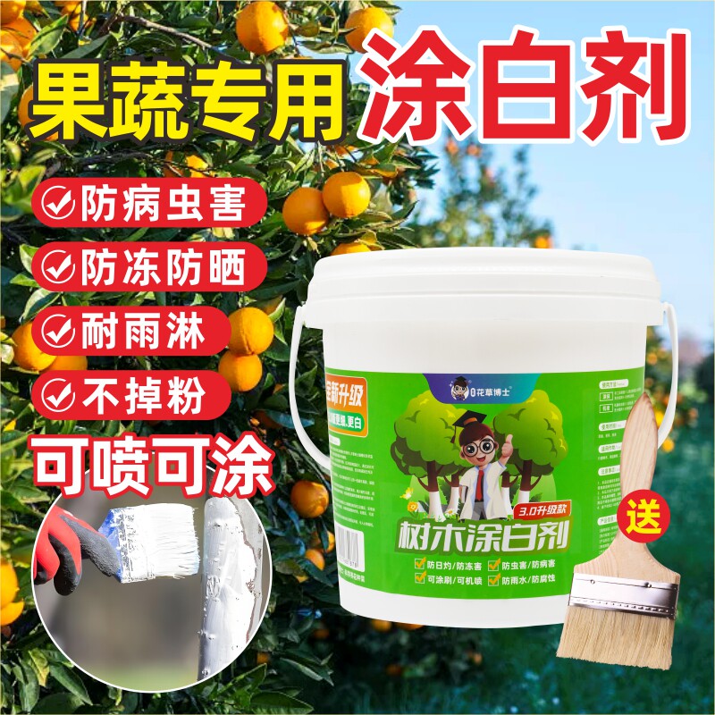 果树涂白剂含石硫合剂可喷涂刷树粉大树干刷白防寒保暖防虫防日灼