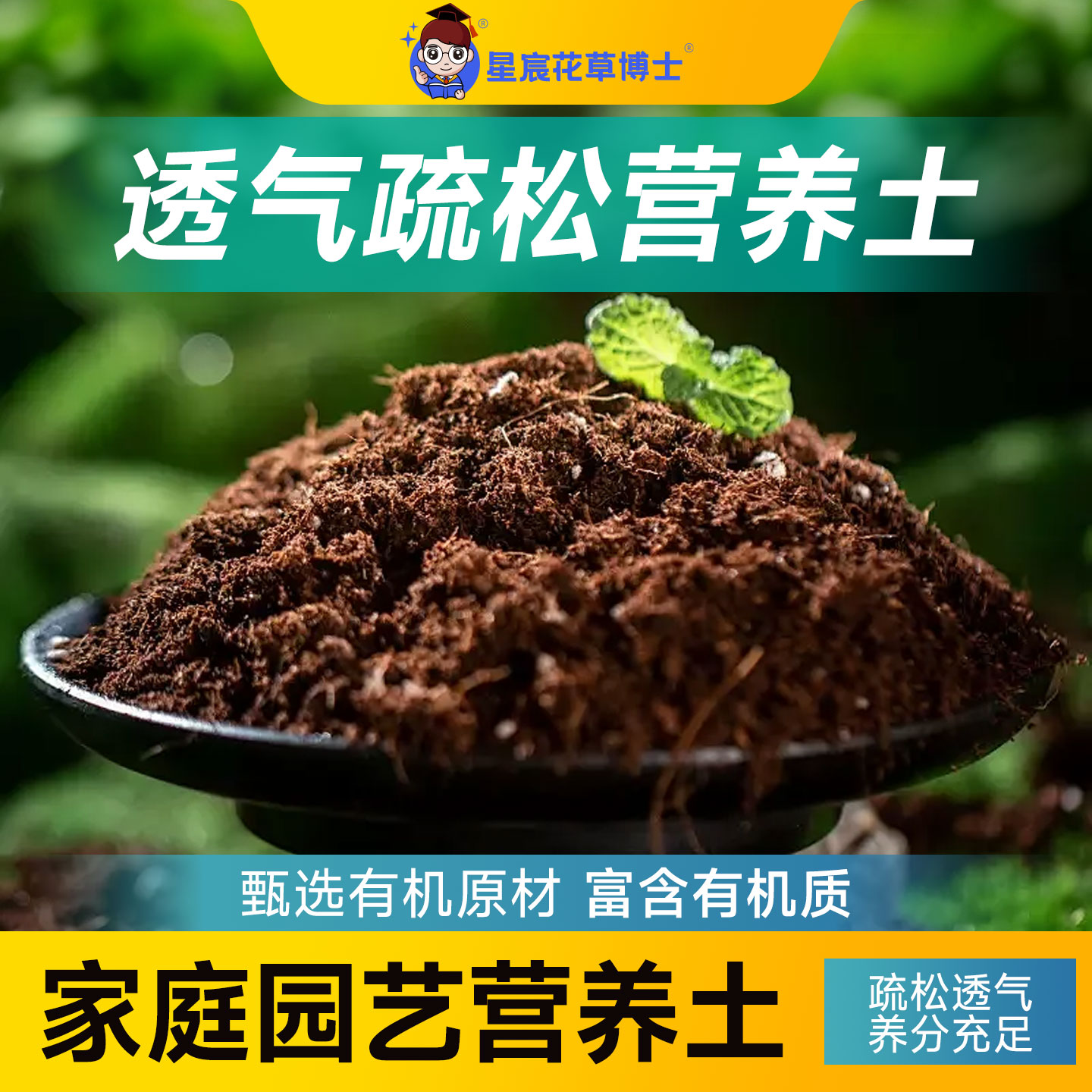 家庭园艺轻质营养土家用种花种菜