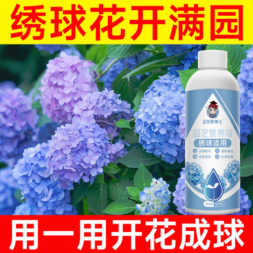 绣球无尽夏专用营养液