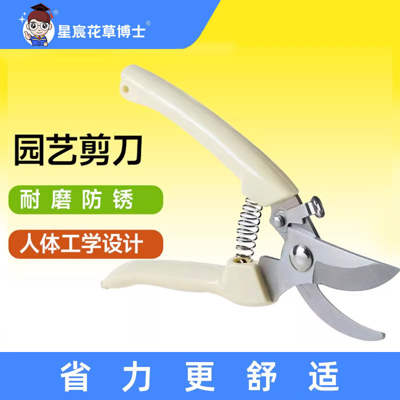 园艺剪刀不锈钢修枝剪盆景修剪园林工具多功能省力树枝剪子叶芽剪