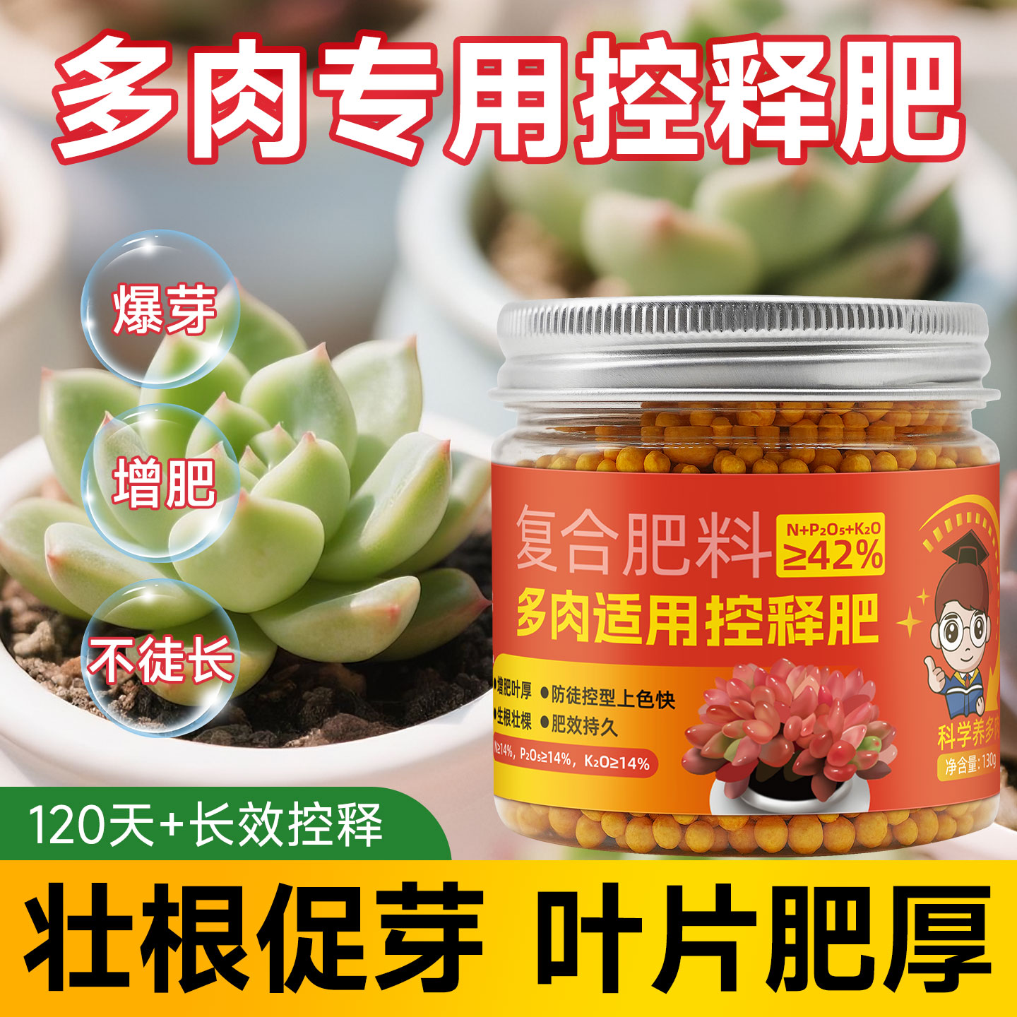 多肉专用肥控释肥料生根爆芽增色肉肉植物盆栽通用型颗粒肥缓释肥