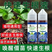 花草博士快速生根液粉剂多肉植物扦插通用型水培营养液壮苗花肥料