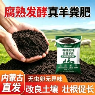 【内蒙古直发有机腐熟纯羊粪】图片