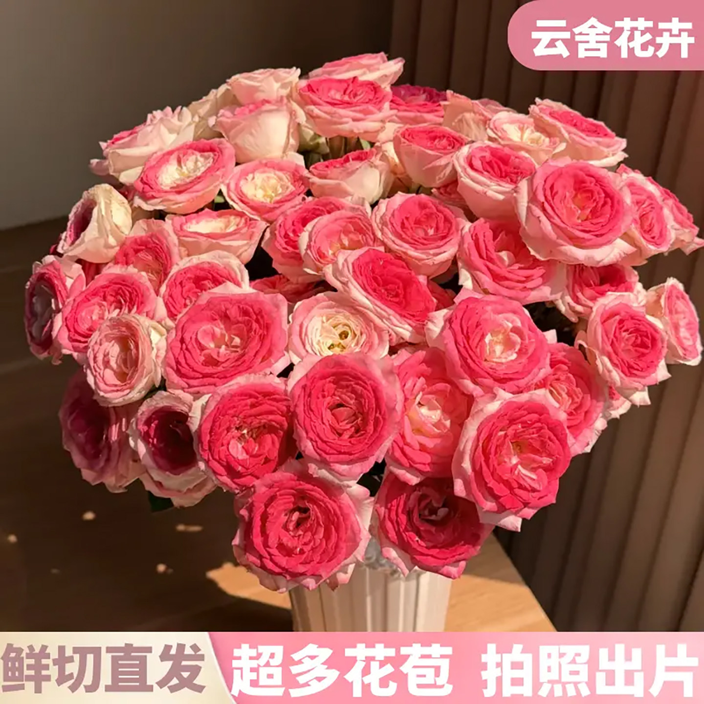 【云舍花卉】午夜魔法玫瑰鲜切花束云南基地直发高品质居家养护