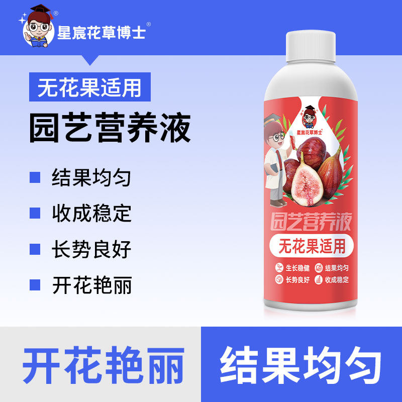 无花果肥料专用肥催花坐果灵催发芽防黄叶枯萎无花果营养液水溶肥