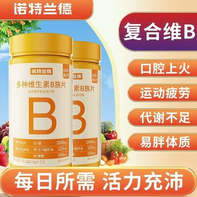 诺特兰德多种维生素B族