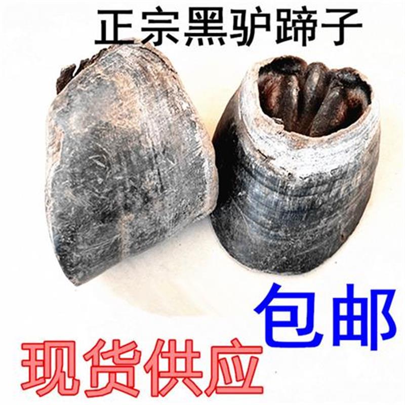 黑驴蹄子壳DIY饰品加工摆件雕刻吊坠平安符原料宝惊吓厚驴马蹄子