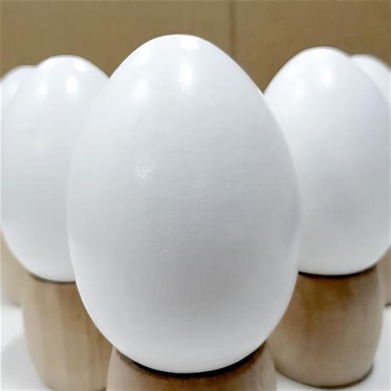 仿真鹅蛋引窝复活节彩蛋玩具蛋壳模型彩绘绘画涂色diy儿童6-30cm