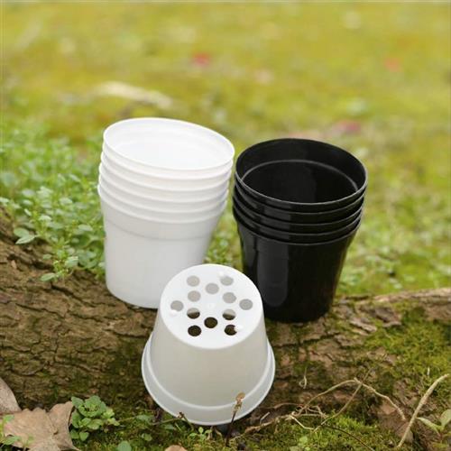 培育盆移苗盆定植盆插扦白盆圆形小黑盆特小号塑料花盆多肉育苗盆