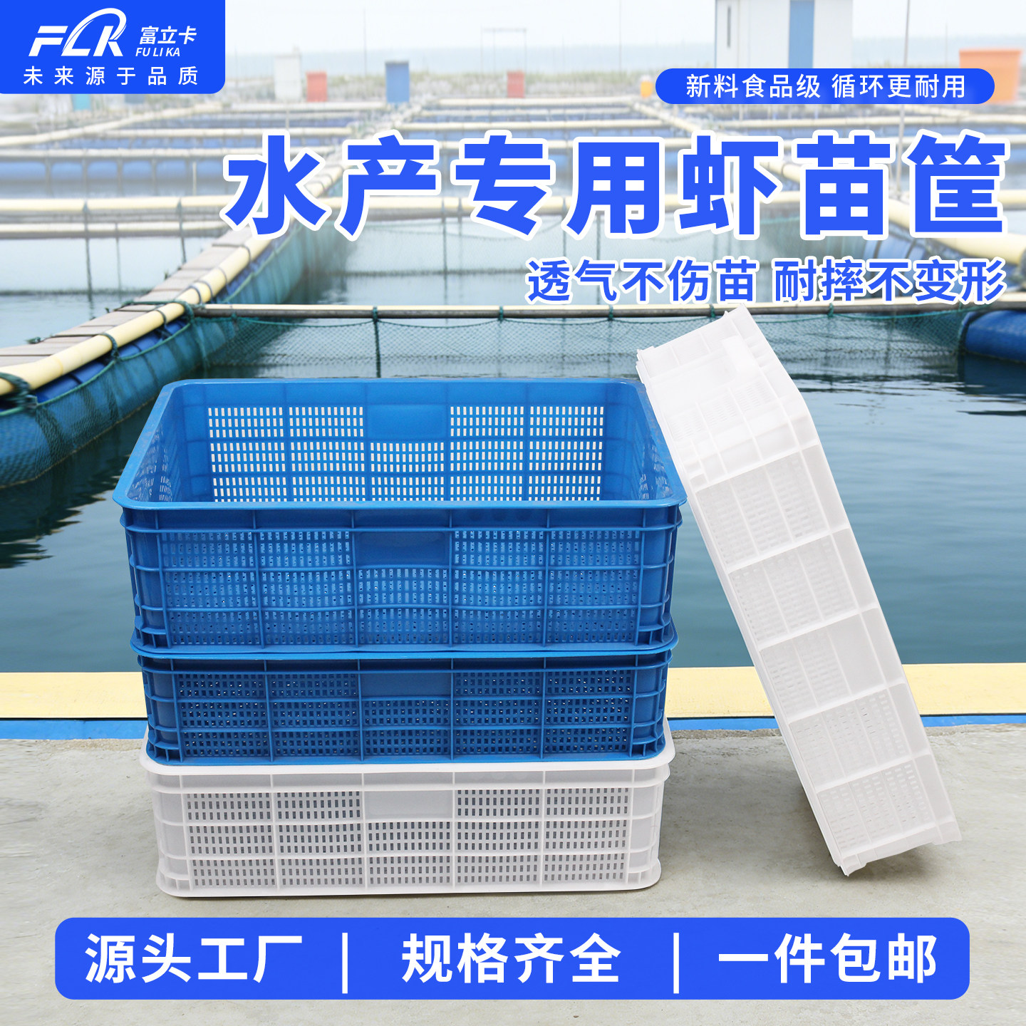 加厚密眼筐大号龙虾塑料筐储物筐大量现货批发浅口葡萄鸡苗鸭苗框