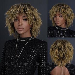 Curly Afro wig欧美假发女非洲卷发黑人爆炸头假发蓬松化纤头套