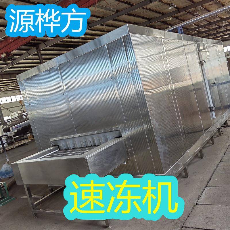 源桦方木瓜速冻机菠萝蜜冷冻加工设备芒果冷冻机