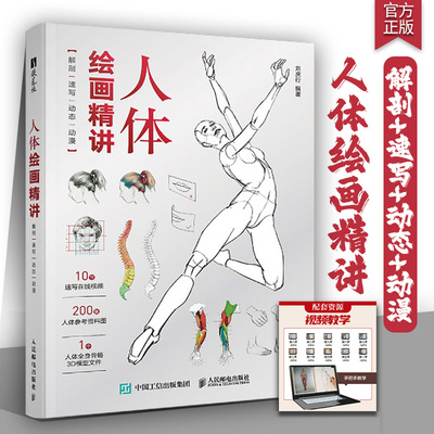 人体绘画精讲解剖速写动态动漫