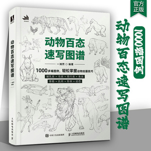 动物百态速写图谱 动物速写描摹本新手自学教程书籍速写书速写临摹范本线稿临摹画册美术技法训练