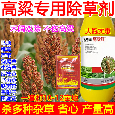 高粱苗后除草剂高粱专用除草剂芦苇除草剂二氯莠去津狗尾草芦苇草