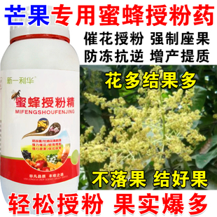 进口芒果授粉药授粉精芒果专用授粉坐果精催花授粉保花保果免沾花