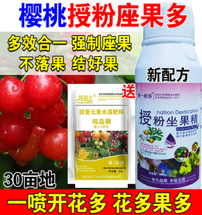 樱桃授粉药樱桃授粉座果精专用授粉花果素防落素保花保果素沾花素